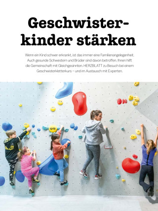 Vorschaubild des Artikels "Geschwisterkinder stärken"