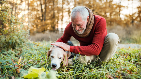 Mehr Bewegung im Alltag
