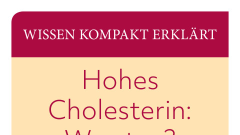 Cover der Broschüre