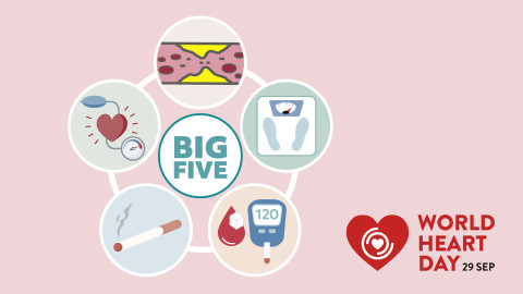 Grafik mit den 5 größten Risikofaktoren fürs Herz: Rauchen, Diabetes, Übergewicht, Bluthochdruck und hohe Cholesterinwerte
