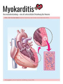 Titelbild Myokarditis-Ratgeber