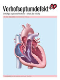 Vorhofseptumdefekt Titelbild